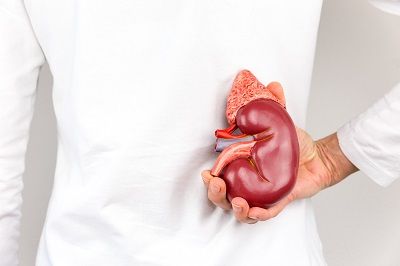 腎