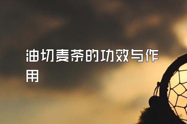 油切麥茶的功效與作用