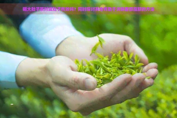 喝大肚子茶對(duì)減肚子有效嗎？同時(shí)探討其他有助于消除腹部脂肪的方法