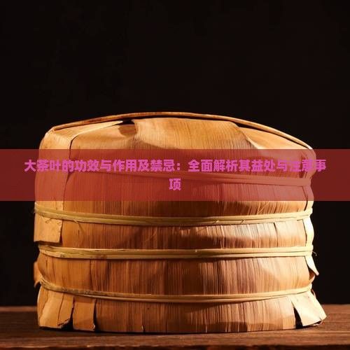 大茶葉的功效與作用及禁忌：全面解析其益處與注意事項(xiàng)