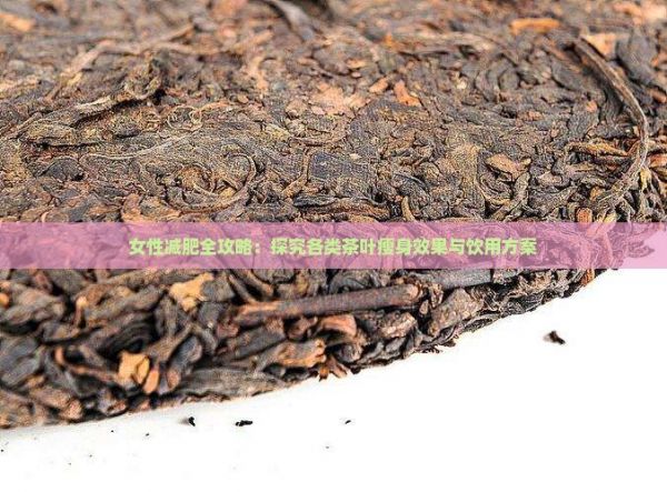 女性減肥全攻略：探究各類茶葉瘦身效果與飲用方案
