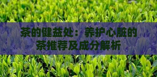 茶的健益處：養(yǎng)護(hù)心臟的茶推薦及成分解析