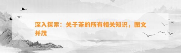 深入探索：关于茶的所有相关知识，图文并茂