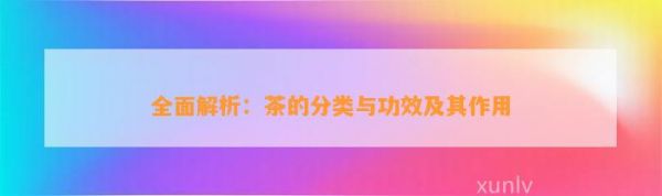 全面解析：茶的分類與功效及其作用