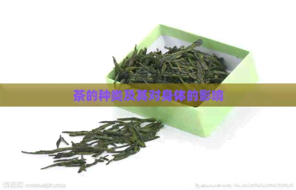 茶的種類及其對身體的影響