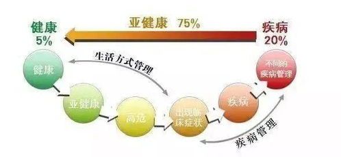 哪些人群應避免食用藕粉及其替代品一覽