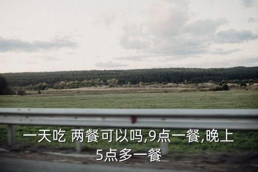 一天吃 兩餐可以嗎,9點(diǎn)一餐,晚上5點(diǎn)多一餐