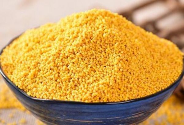 黃小米營養(yǎng)美味又健康，熬小米粥有什么技巧？黃小米怎么吃才好？