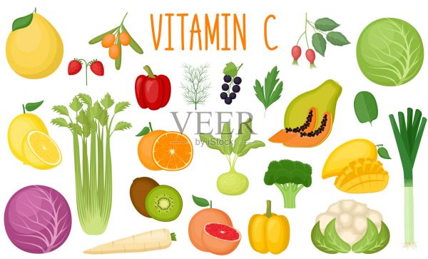 集維生素c來源健康食品收藏插畫圖片素材