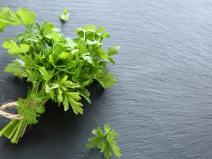 香菜根
