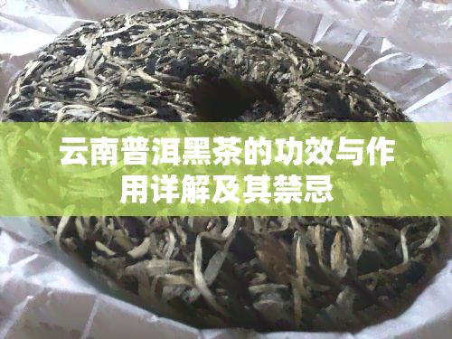 云南普洱黑茶的功效與作用詳解及其禁忌