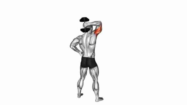 Thumbnail for the video of exercise: 哑铃站立单臂屈伸