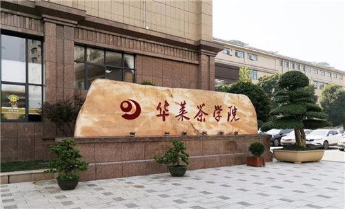 隆力奇董事長(zhǎng)徐之偉參觀考察湖南華萊茶學(xué)院