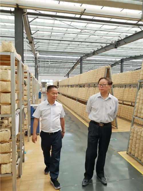 隆力奇董事長(zhǎng)徐之偉參觀考察湖南華萊茶學(xué)院