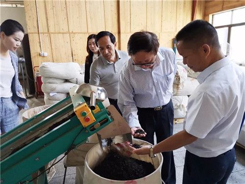 隆力奇董事長(zhǎng)徐之偉參觀考察湖南華萊茶學(xué)院