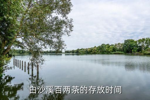 白沙溪百两茶的存放时间