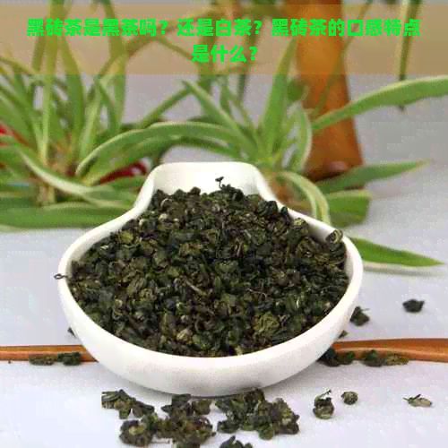 黑磚茶是黑茶嗎？還是白茶？黑磚茶的口感特點(diǎn)是什么？