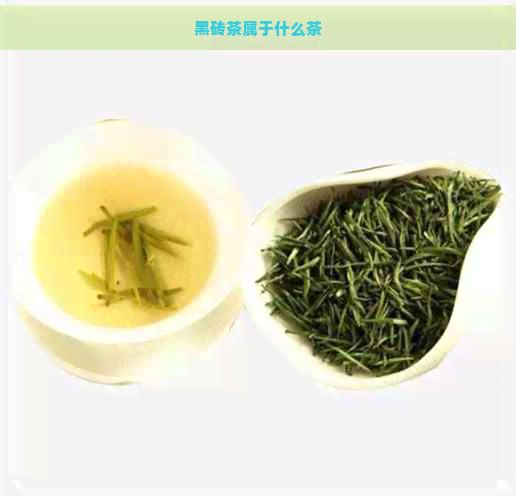 黑磚茶屬于什么茶