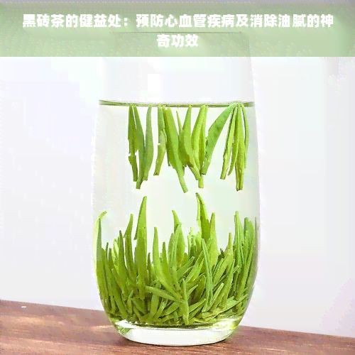 黑磚茶的健益處：預(yù)防心血管疾病及消除油膩的神奇功效