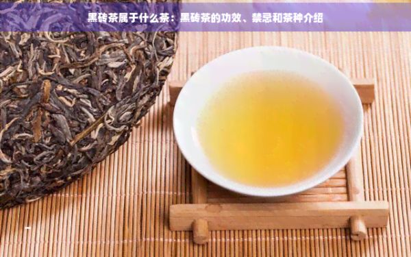 黑磚茶屬于什么茶：黑磚茶的功效、禁忌和茶種介紹