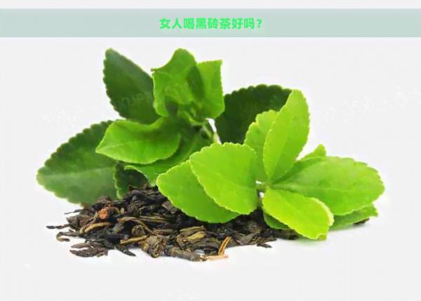 女人喝黑磚茶好嗎？