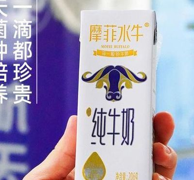 什么牛奶比較好（減肥期間喝什么牛奶比較好）