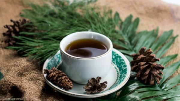 湖南安化黑茶茯磚:健康養(yǎng)生的佳品