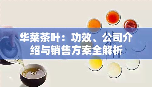 華萊茶葉：功效、公司介紹與銷售方案全解析