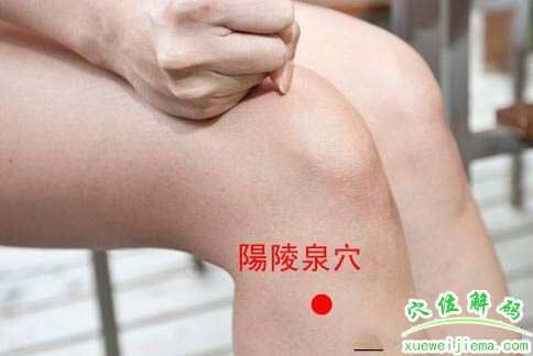 陽陵泉--站立加快燃燒脂肪