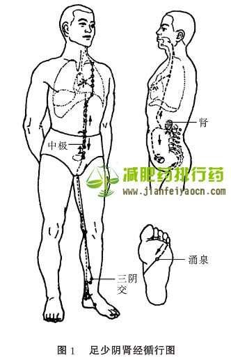 全身經(jīng)絡(luò)減肥按摩法