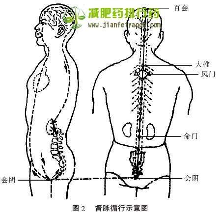 風(fēng)寒濕痹經(jīng)絡(luò)受阻型