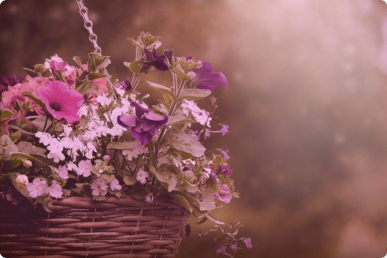 塑身衣减肥法对女性的危害