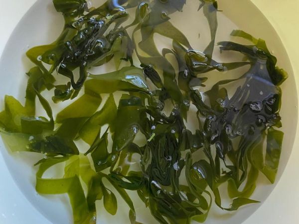 純奶手撕吐司的做法 步驟1