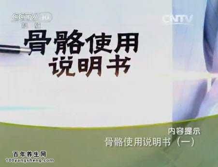 骨骼使用说明书