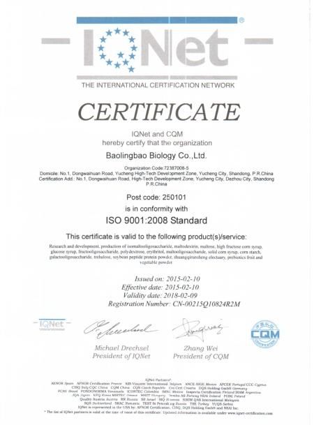 ISO9001(英文)