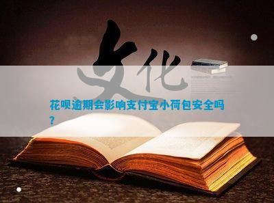 花唄逾期會(huì)作用支付寶小荷包安全嗎？