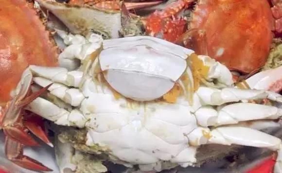 海鮮怎樣做好，正確的海鮮做法