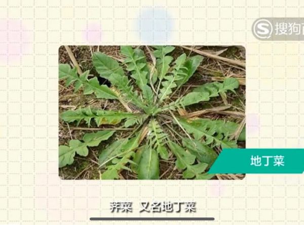 純奶手撕吐司的做法 步驟1