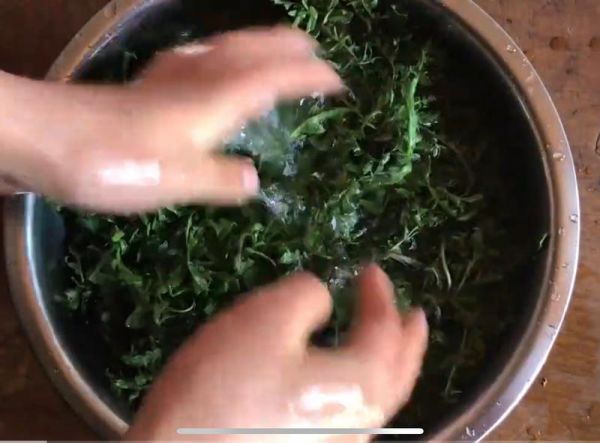 純奶手撕吐司的做法 步驟1