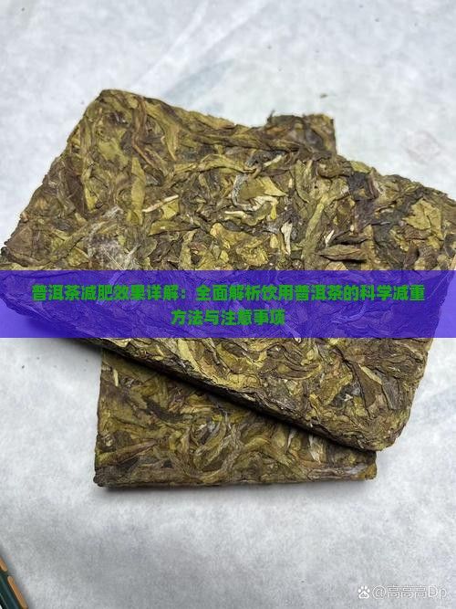 普洱茶減肥效果詳解：全面解析飲用普洱茶的科學(xué)減重方法與注意事項(xiàng)