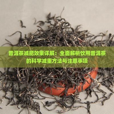 普洱茶減肥效果詳解：全面解析飲用普洱茶的科學(xué)減重方法與注意事項(xiàng)