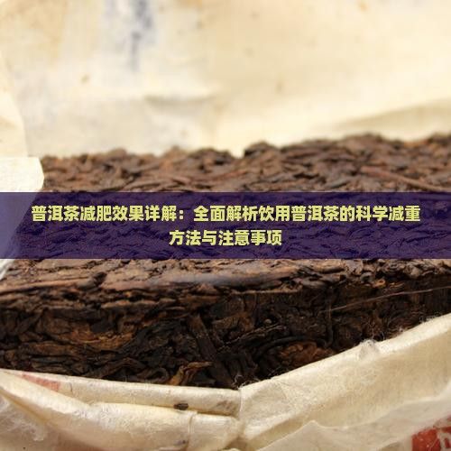 普洱茶減肥效果詳解：全面解析飲用普洱茶的科學(xué)減重方法與注意事項(xiàng)