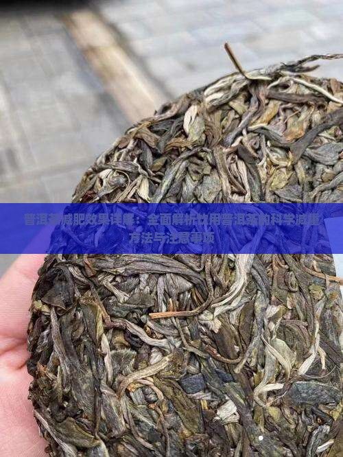 普洱茶減肥效果詳解：全面解析飲用普洱茶的科學(xué)減重方法與注意事項(xiàng)