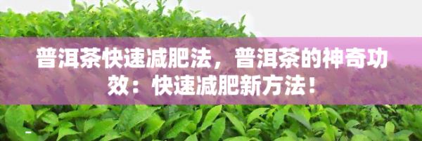 普洱茶快速減肥法，普洱茶的神奇功效：快速減肥新方法！