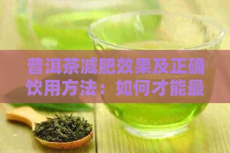 普洱茶減肥效果及正確飲用方法：如何才能更大化利用其瘦身功效？