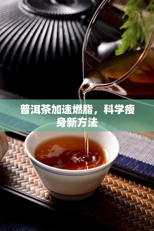 普洱茶加速燃脂，科学瘦身新方法