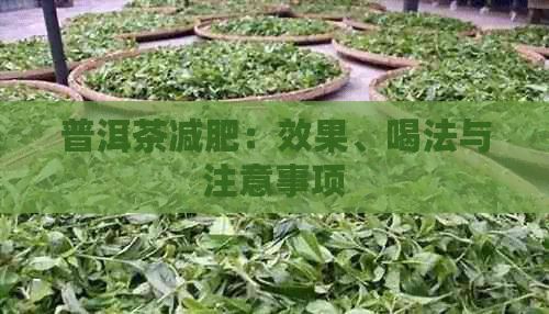 普洱茶減肥：效果、喝法與注意事項(xiàng)