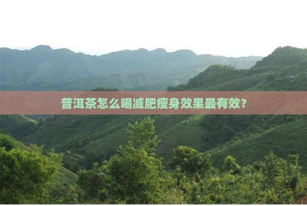 普洱茶怎么喝減肥瘦身效果最有效？