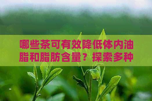 哪些茶可有效降低體內(nèi)油脂和脂肪含量？探索多種茶葉對減肥的影響。