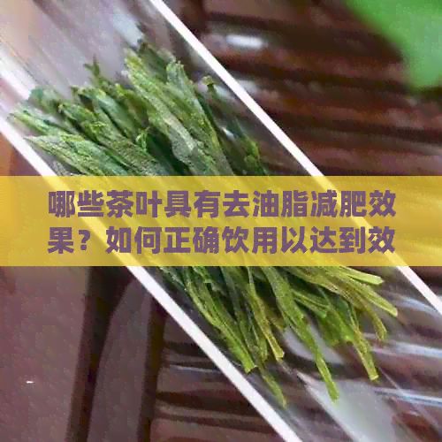 哪些茶葉具有去油脂減肥效果？如何正確飲用以達(dá)到效果？